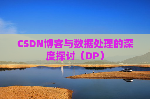 CSDN博客与数据处理的深度探讨（DP）